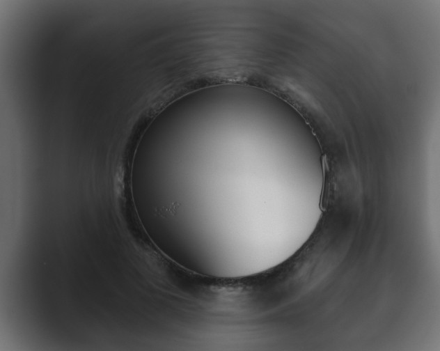 X0000089880693200706281051