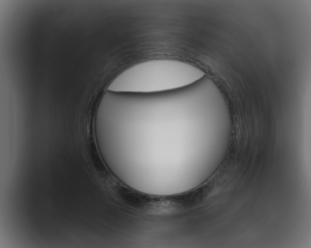 X0000089880695200706281050