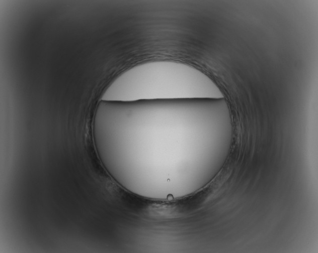 X0000089880699200706281050