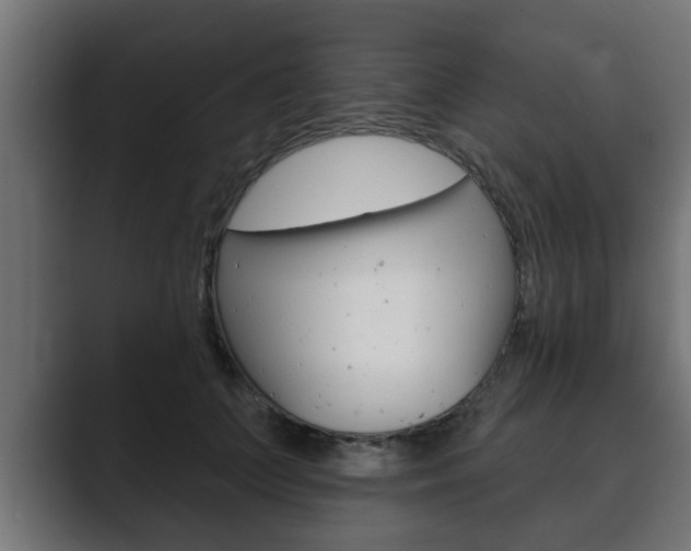 X0000089880703200706281050