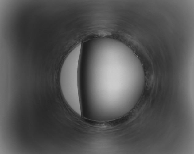 X0000089880704200706281050