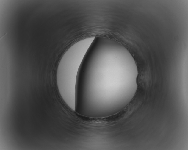 X0000089880708200706281050