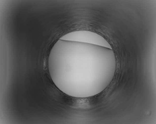 X0000089880709200706281050