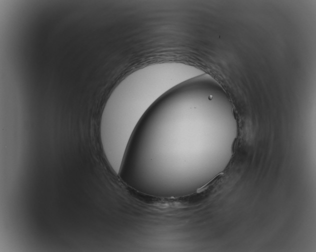X0000089880712200706281050