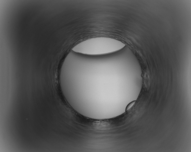 X0000089880714200706281050