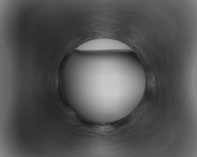 X0000089880716200706281050