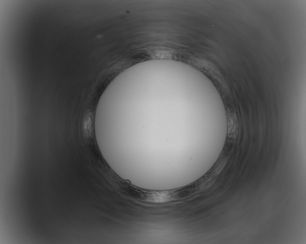 X0000089880717200706281050