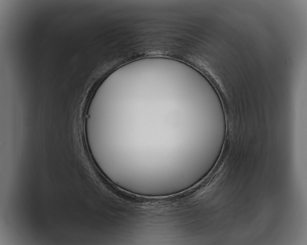 X0000089880721200706281050