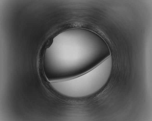 X0000089880722200706281050
