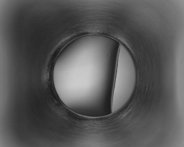 X0000089880723200706281050