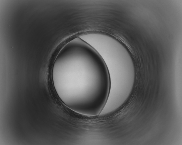 X0000089880724200706281050