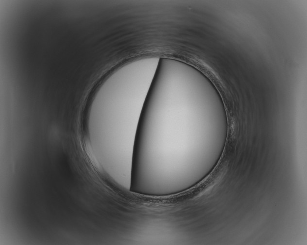 X0000089880725200706281050