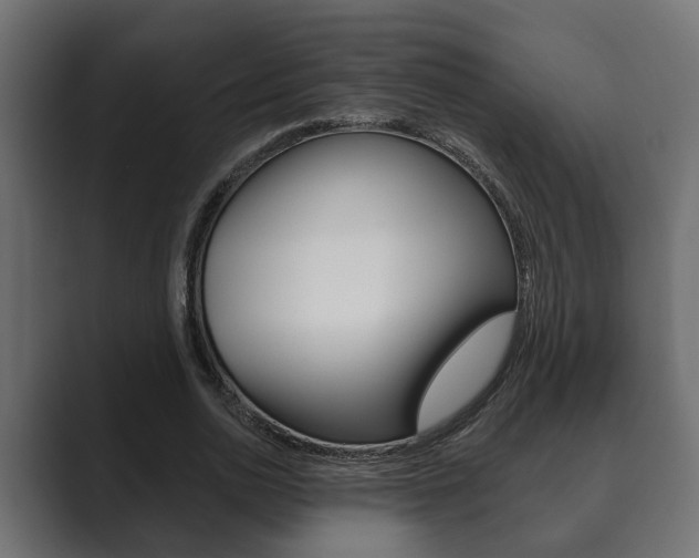 X0000089880726200706281050