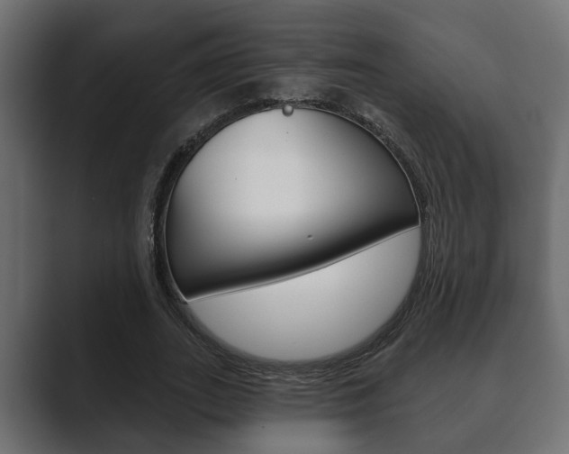 X0000089880727200706281050