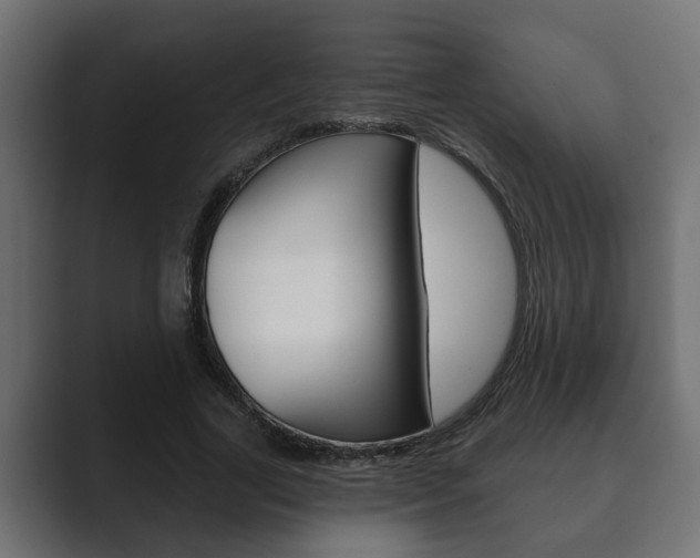 X0000089880731200706281050