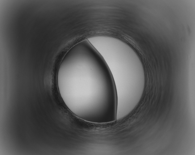 X0000089880732200706281050