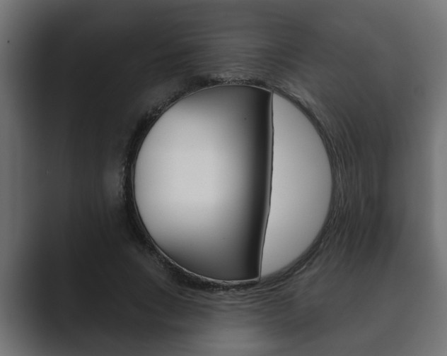 X0000089880735200706281050