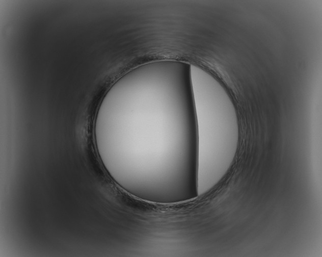 X0000089880736200706281050