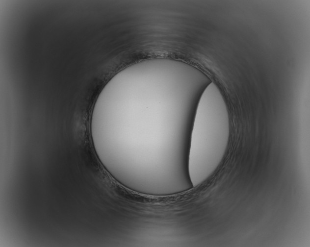 X0000089880737200706281050