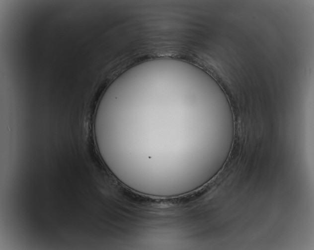 X0000089880741200706281050