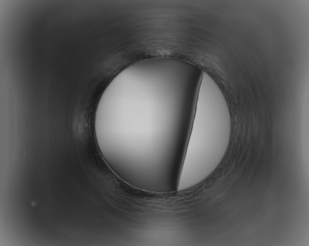 X0000089880743200706281050