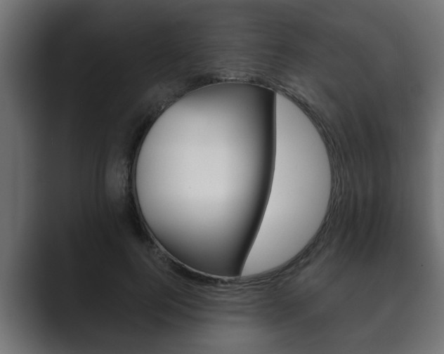 X0000089880744200706281050