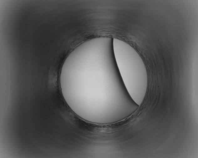 X0000089880745200706281050