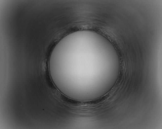 X0000089880746200706281050
