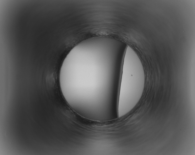 X0000089880747200706281050