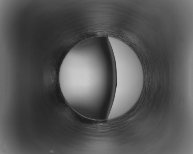 X0000089880748200706281050