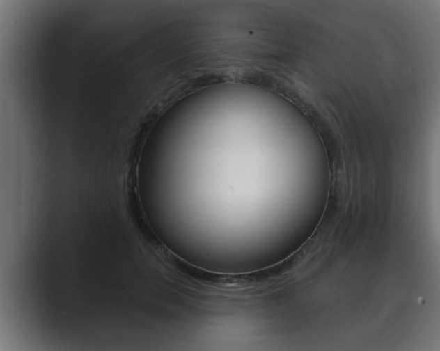 X0000089880750200706281050