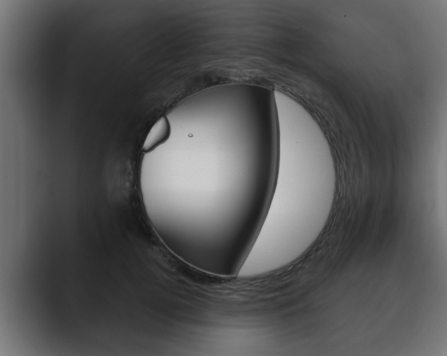 X0000089880752200706281050