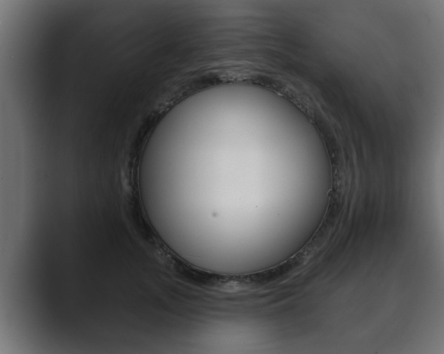 X0000089880755200706281050