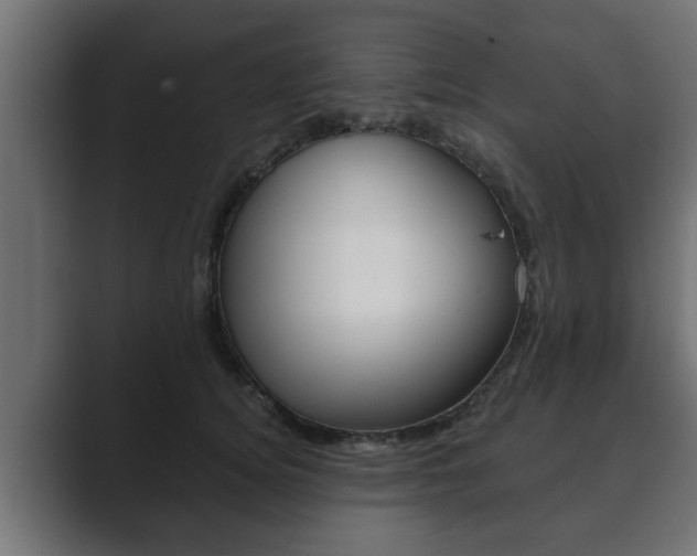 X0000089880756200706281050