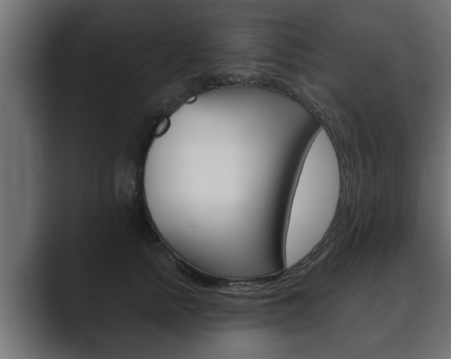 X0000089880758200706281050