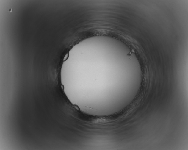 X0000089880759200706281050
