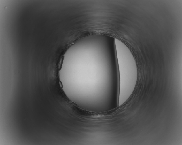 X0000089880760200706281050