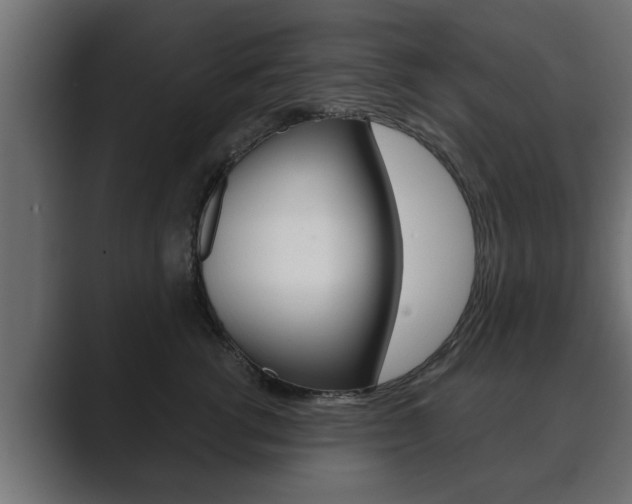 X0000089880762200706281050