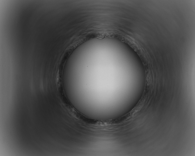 X0000089880764200706281050