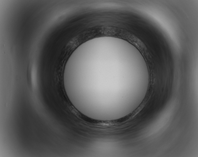 X0000089880765200706281050