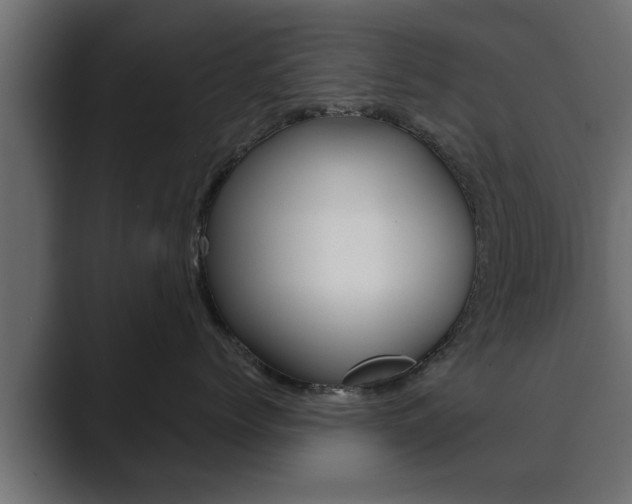 X0000089880768200706281050