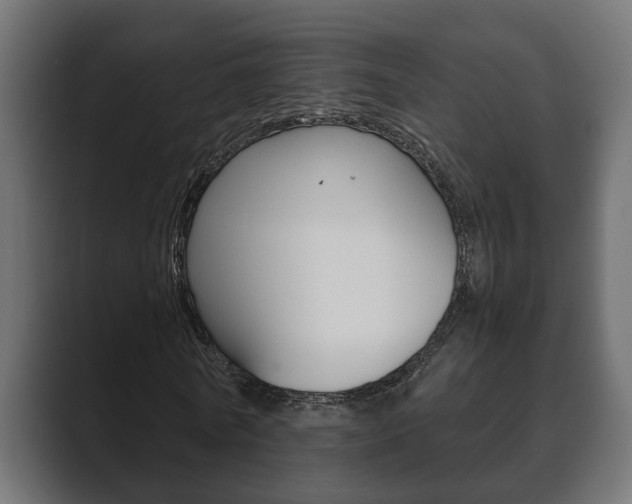 X0000089880770200706281050