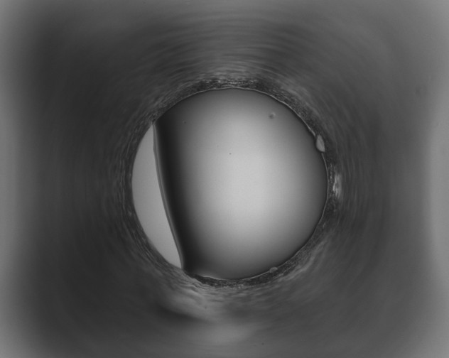 X0000089880771200706281050