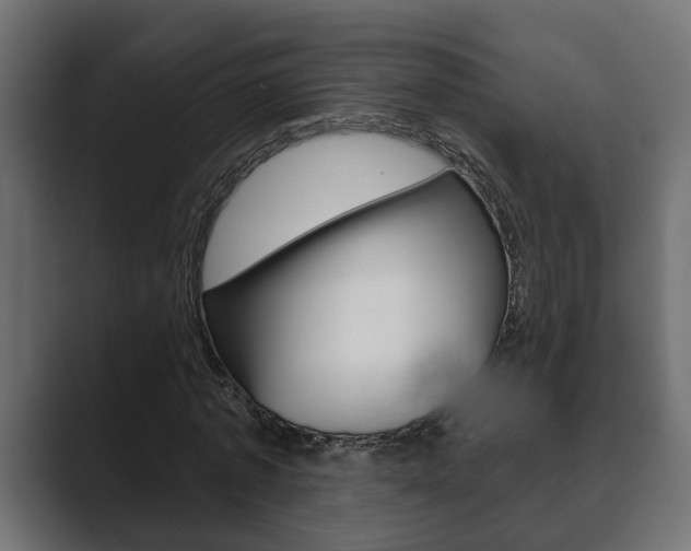 X0000089880773200706281049