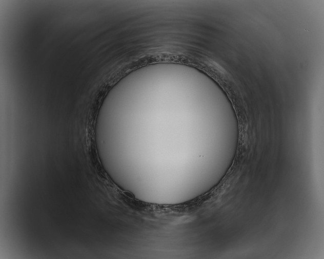 X0000089880774200706281049