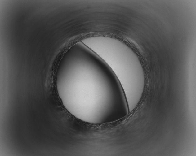 X0000089880776200706281049