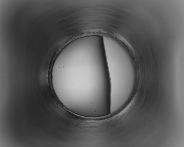 X0000089880777200706281049