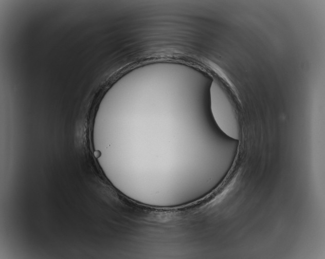 X0000089880778200706281049