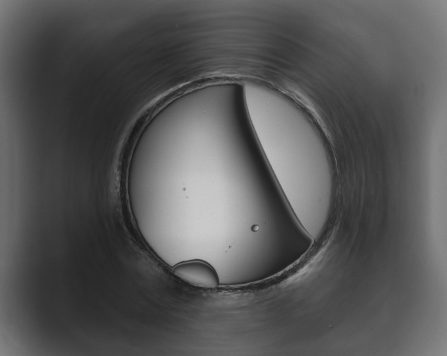 X0000089880779200706281049