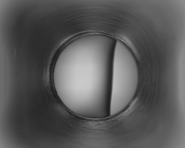 X0000089880780200706281049